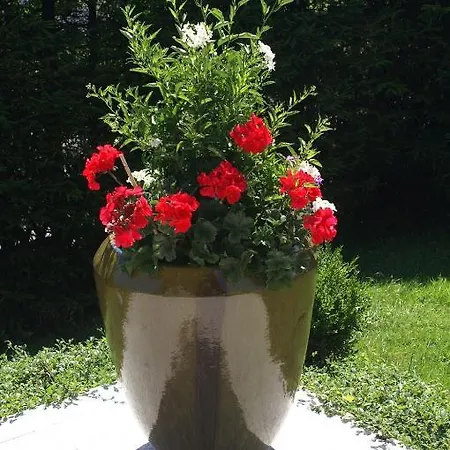 Bergfried Bed & Breakfast 2*