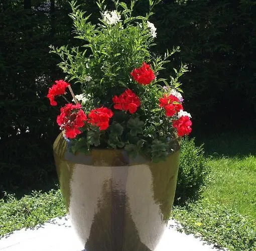 Bergfried ベッド・アンド・ブレックファスト 3*